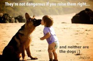 They are not dangerous...